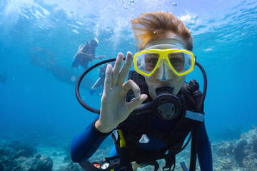 PADI Open Water Diver Course in Playa del Carmen