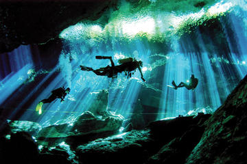 Riviera Maya Cenote Diving Tour from 3 Pickup Options