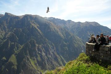 11-Day Semi-Private Tour: Cusco, Machu Picchu, Lake Titcaca and Colca Canyon