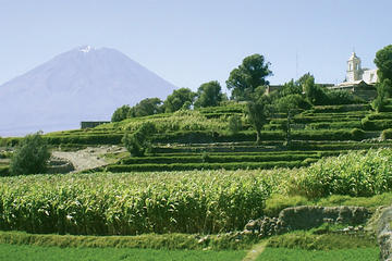 Arequipa Countryside Panoramic Bus Tour
