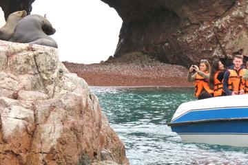 Private Ballestas Islands Tour