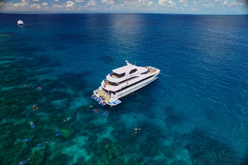 Cairns Super Saver: Bootstour zum Great Barrier Reef plus Kuranda Scenic Railway plus Cape Tribulation - Tagesausflug