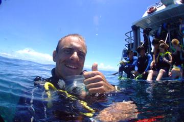 Learn to Scuba Dive on the Great Barrier Reef: 4-Day PADI Open Water Dive Course