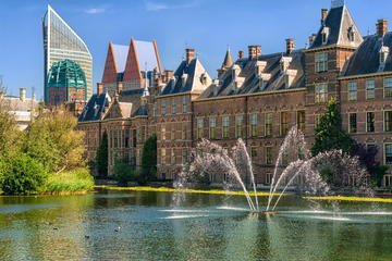 Private Day Tour: Rotterdam and The Hague with Spanish-Speaking Guide
