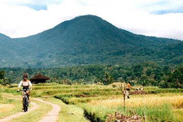 Electric Bike Tour Jatiluwih and Surrounding