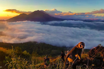 Shared Mount Batur Sunrise Trekking with Breakfast