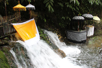 Temple and Blessings Tour in Bali