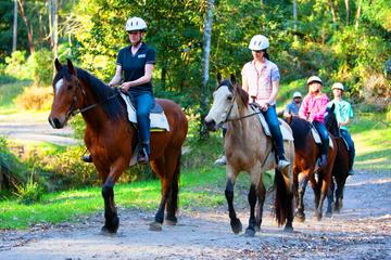 Horse Riding Tour at Glenworth Valley Outdoor Adventures
