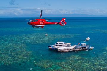 Great Barrier Reef Cruise to Moore Reef Pontoon and Return Helicopter Flight from Cairns