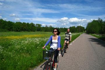 Copenhagen to Sweden Daytrip: Countryside Bike Tour