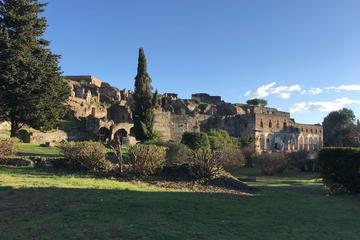 Full day tour, Naples and Pompeii from Rome