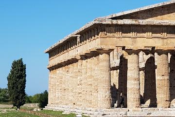 Paestum and Mozzarella di Bufala Farm Factory Visit From Rome