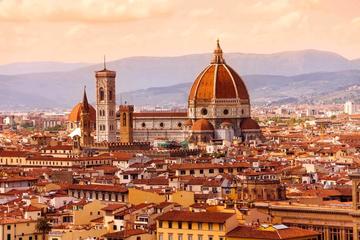 Private Full Day Tour of Pisa and Florence from Rome