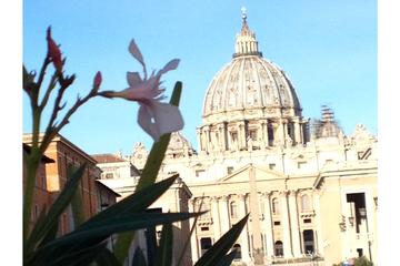 Rome Highlights and Vatican Museums