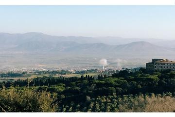 Wine Tasting in Frascati from Rome