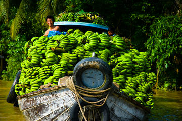 Cu Chi Tunnels and Mekong Delta Private Full-Day Trip