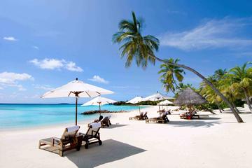 Nha Trang Full day City Tour