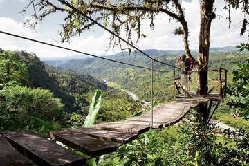 Mindo Rainforest With Zipline Upgrade From Quito