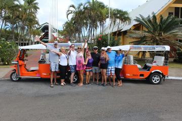 Private Custom Tour: Half-Day Rarotonga Island by Electric Tuk Tuk