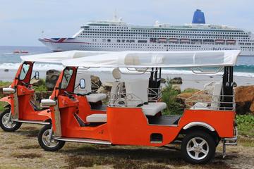 Private Shore Excursion: Half-Day Rarotonga Island Tour by Electric Tuk Tuk