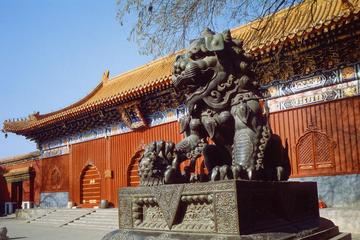 Beijing Day Tour: Hutong, Lama Temple, and Panda Zoo