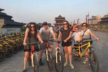 Full Day Small Group Xi'an Essential Tour