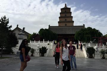 Private Tour of Shaanxi History Museum and Big Wild Goose Pagoda in Half Day