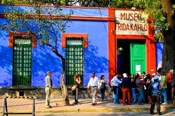 Private Full-Day Museums of Mexico City Tour