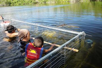 Swim with Crocodiles and Visit a Mayan Community