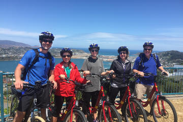 Guided Wellington Sightseeing Tour by Electric Bike
