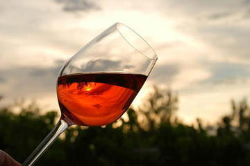 Wine Tasting in a Typical Masseria in Puglia Near Trani