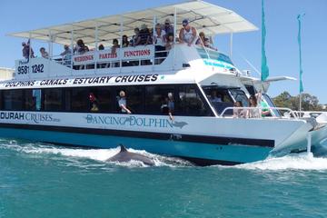 Mandurah Dolphin and Scenic Canal Cruise