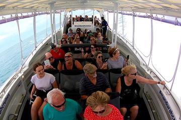 Mandurah Dolphin Island Adventure