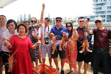 Mandurah Wild Seafood Adventure Cruise