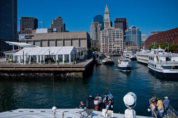 Boston Super Saver: Whale-Watching Cruise Plus Admission to New England Aquarium