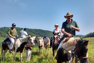 Horseback Riding on an Equestrian Farm in San Ignacio