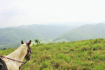 Horseback Riding to Flowers Camp Cave and Canoe Tour