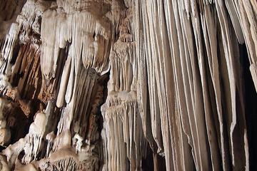 Horseback Riding Tour to Actun Chapat Cave