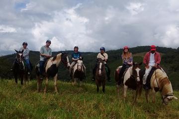 Sunset Horseback Ride