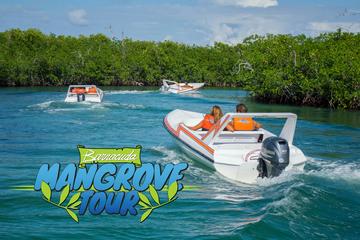 Mangrove Speed Boat Tour
