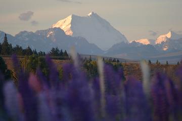 2-Day Christchurch to Queenstown Tour via West Coast