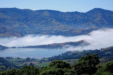 Akaroa Harbour and Banks Peninsula Eco Marine Harbour Cruise Small Group Tour