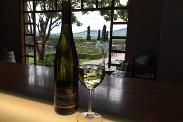 Wine trail and Christchurch City day tour
