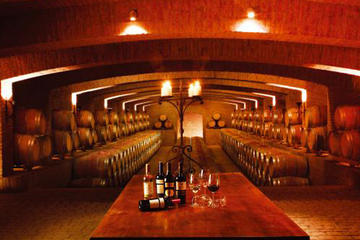 Half-Day Small Group Undurraga Vineyard Tour