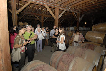 Semi-Private Premium Wine Tour at Santa Rita Winery