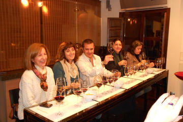 Half day small group wine tour of wineries near Madrid