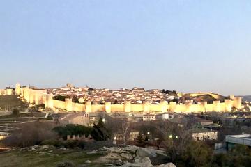 Ávila and Rueda wineries from Madrid Wine tour
