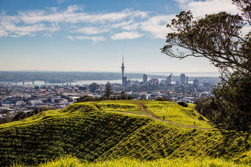Cultural Walking Tour on Mount Eden