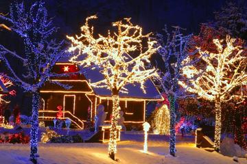 Cazma Christmas Fairytale Half Day Trip from Zagreb