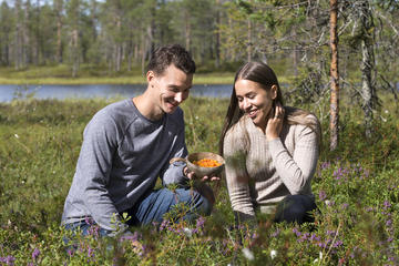 A Berry Nice Day - Berry Picking in Rovaniemi